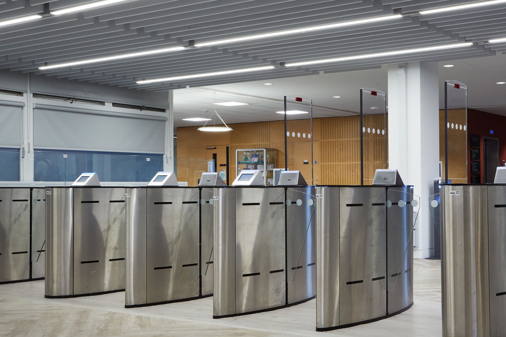 No one-size-fits-all: Why custom lighting matters in education design