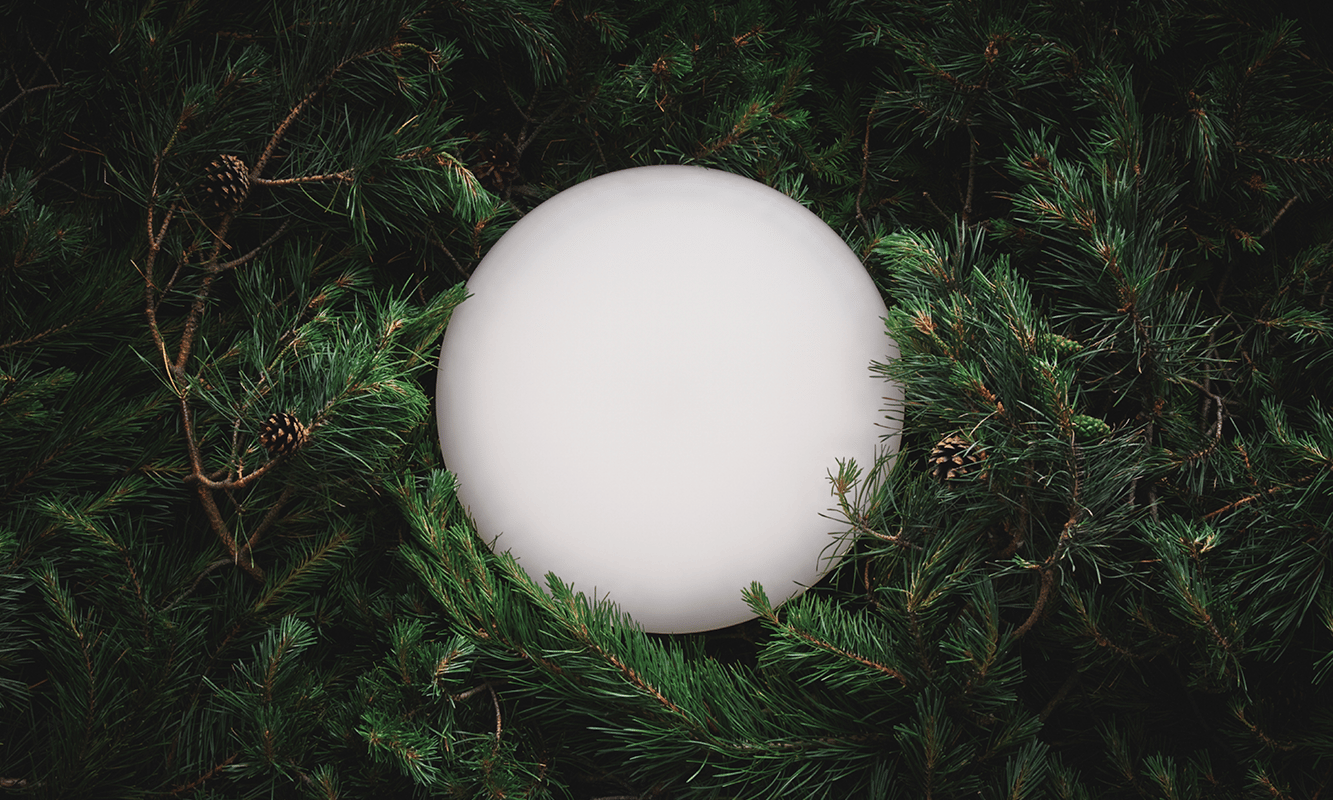 Rediscover Discovery