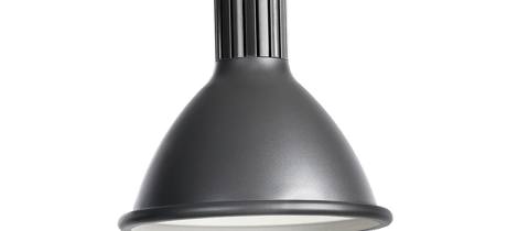 Dino Classic grey