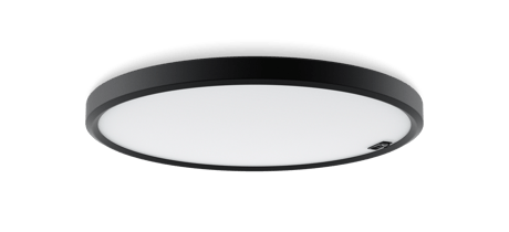 Pozzo scale surface OR