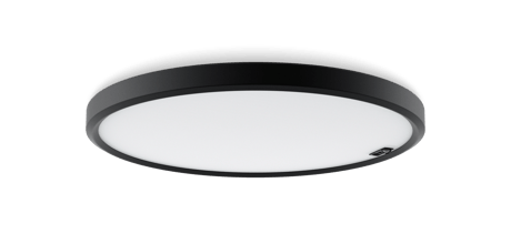 Pozzo scale surface OR