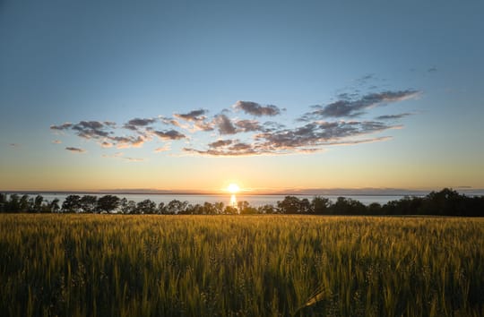 Find our more about our view of sustainability