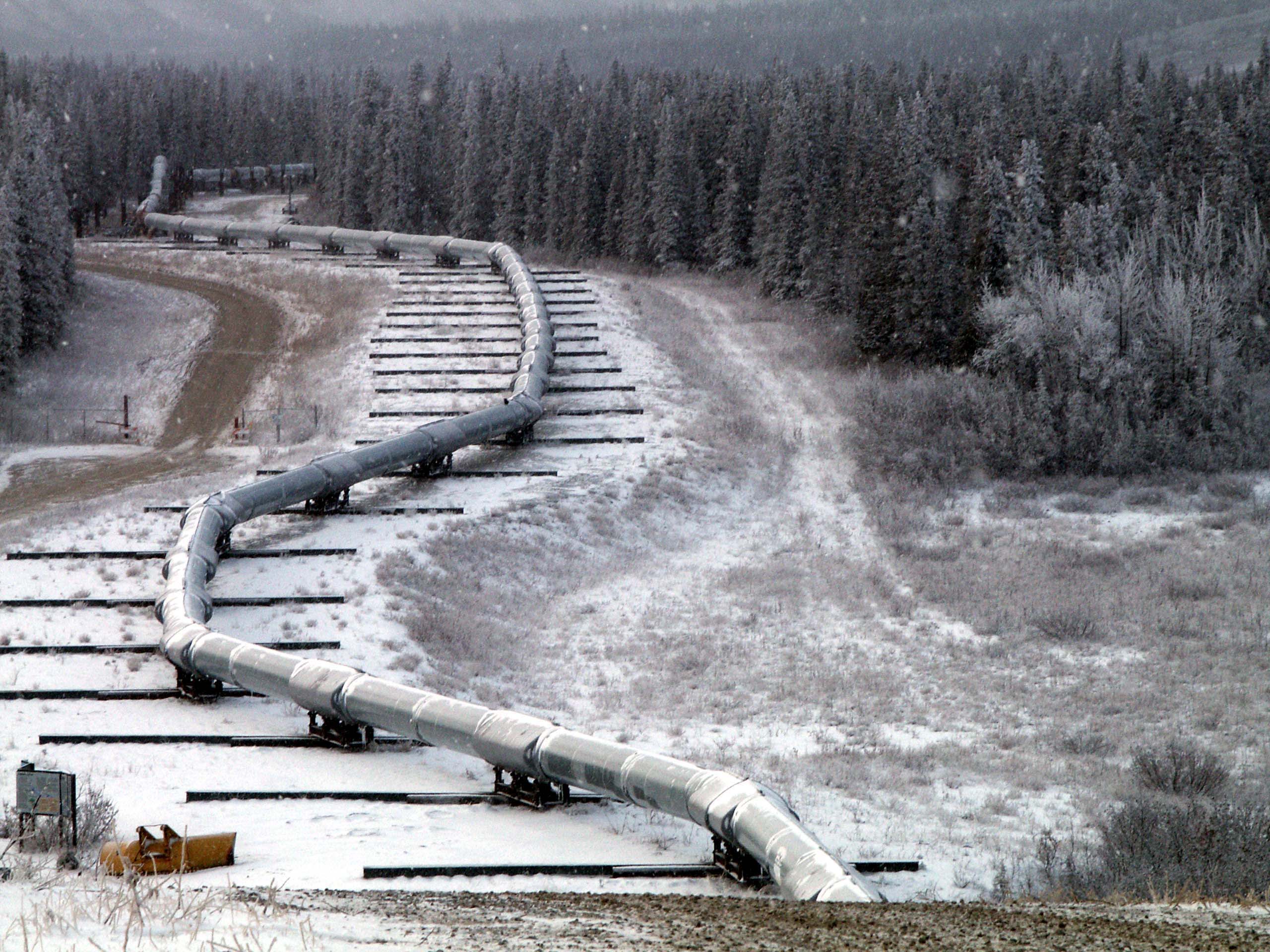 Trans_Alaska_Pipeline_Denali_fault_shift.jpg