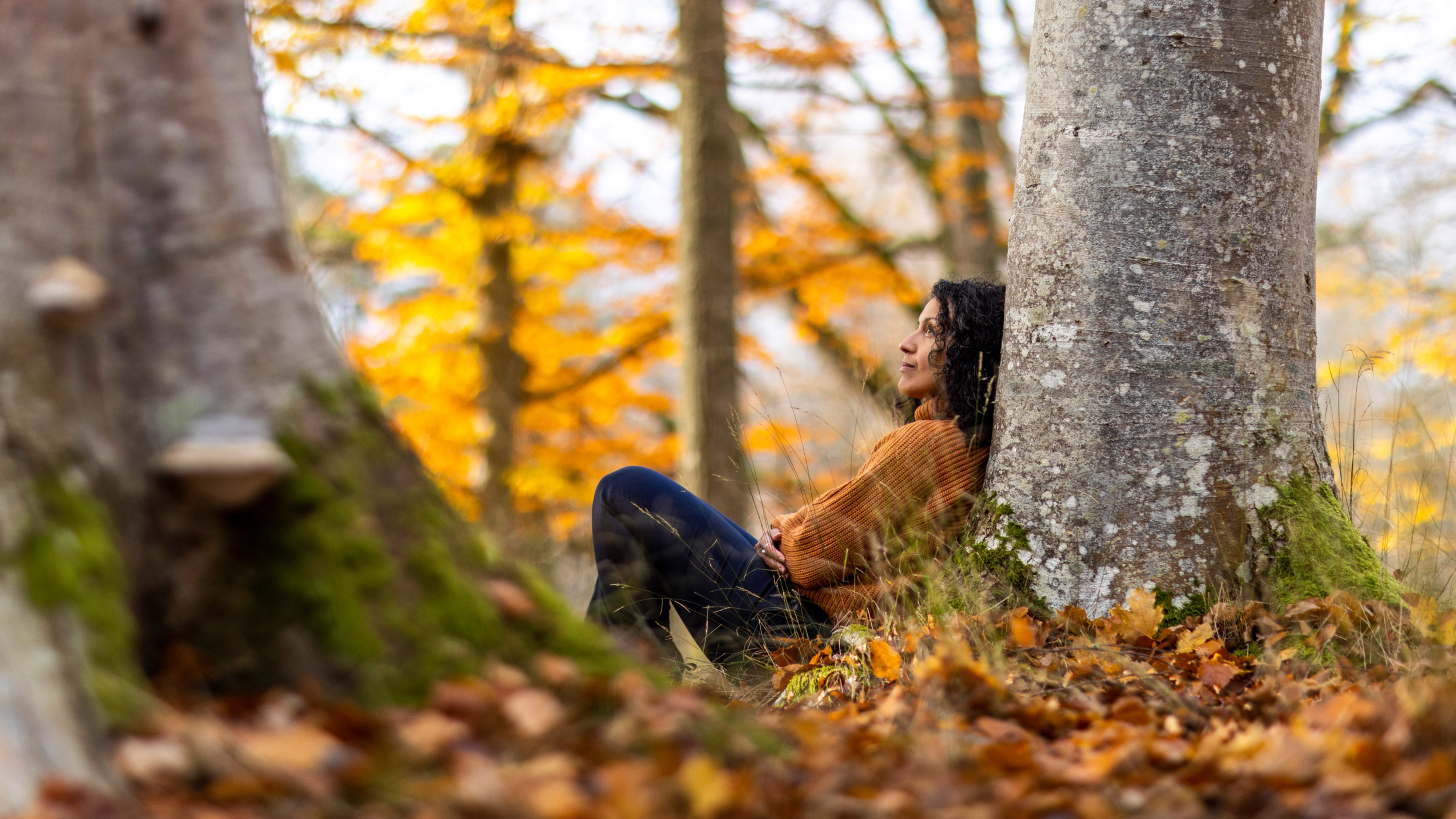 What is Double Dynamic Lighting? Fagerhult (International)