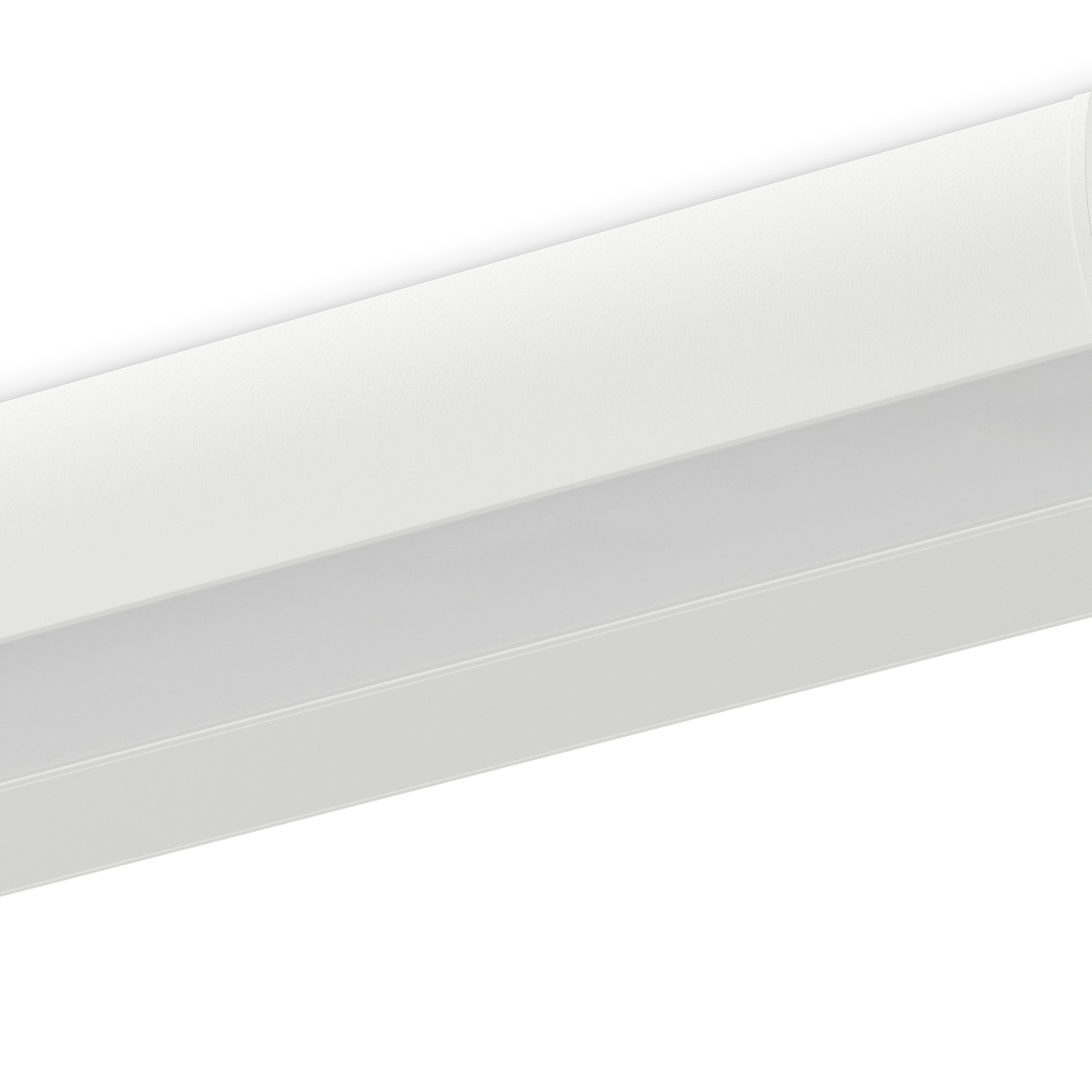 Zest surface